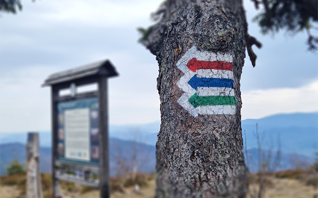 główny szlak beskidzki