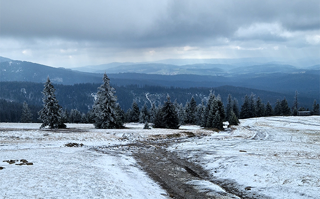 główny szlak beskidzki