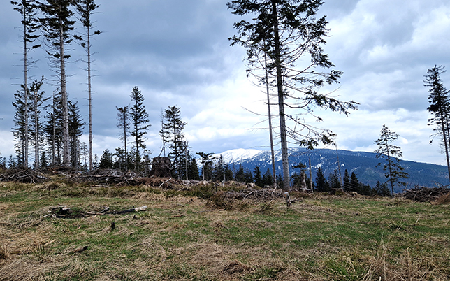 główny szlak beskidzki