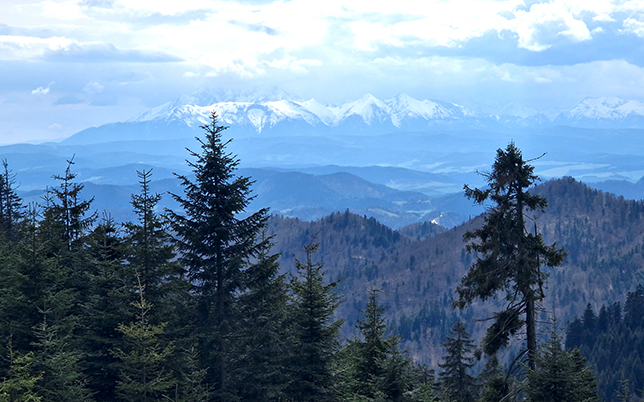 główny szlak beskidzki