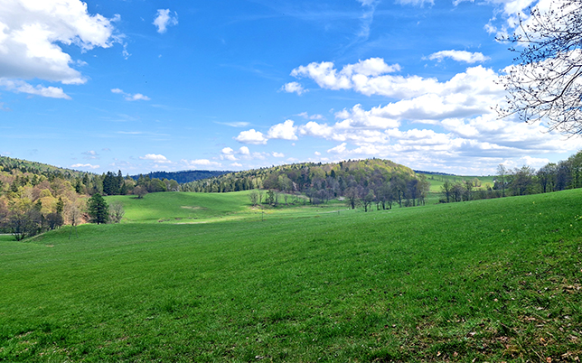 główny szlak beskidzki
