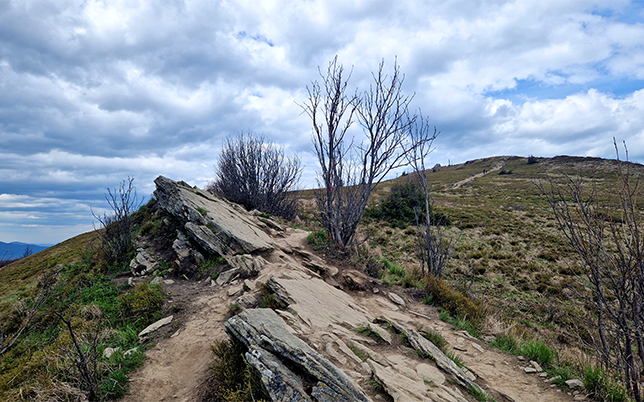 główny szlak beskidzki