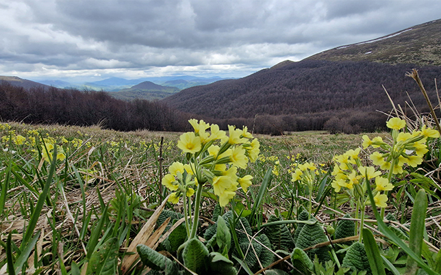 główny szlak beskidzki